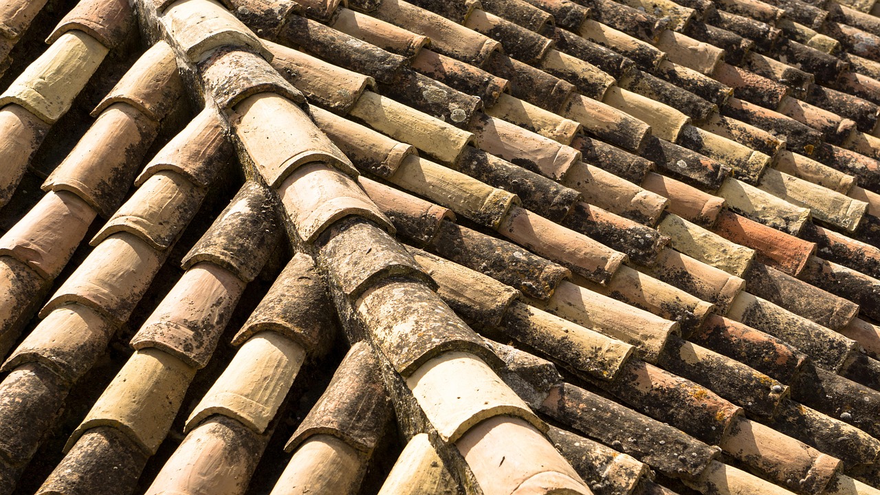 Tile vs. Shingle vs. Foam: Best Roofing Materials for Arizona